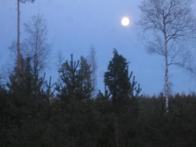 Si se quiera regresar en tiempo, tiene que salir más temprano. Una luna llena sobre el bosque.